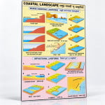 Coastal Landscape Chart